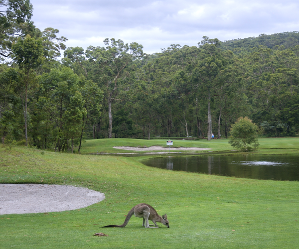 Photo of Nelson Bay Golf Club