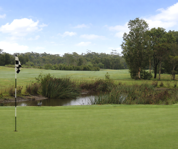 Photo of Pacific Dunes Golf Club