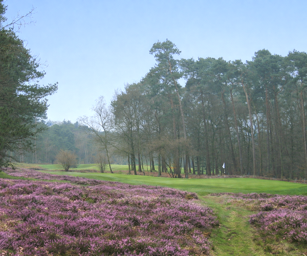 Photo of Hilversumsche Golf Club