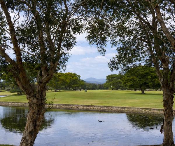 Photo of Palmer Colonial Golf Course