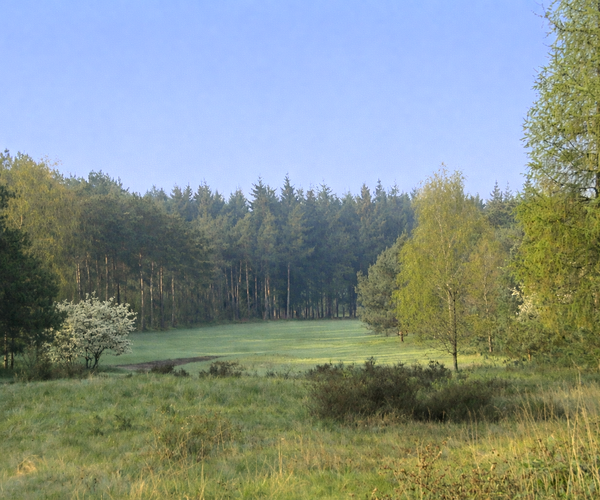 Photo of Golfclub de Hoge Kleij