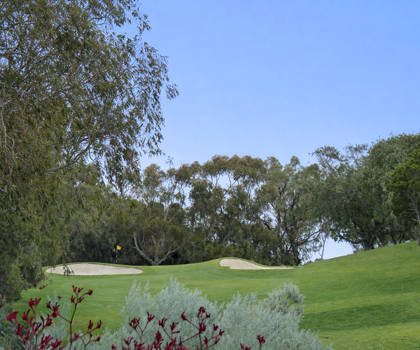 Photo of Cottesloe Golf Club