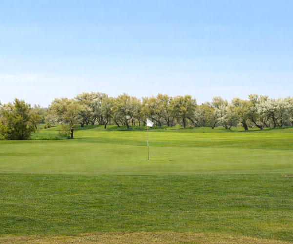 Photo of Albarella Golf Club