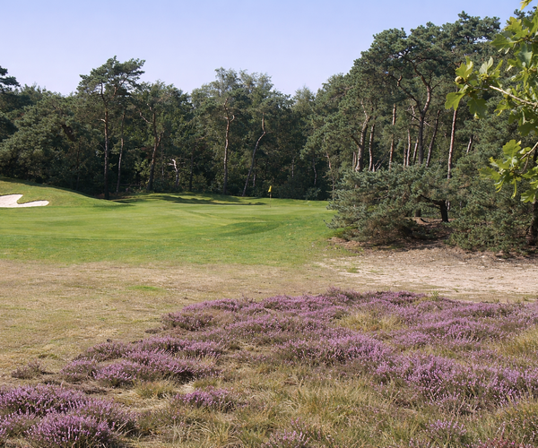 Photo of Golf Wouwse Plantage