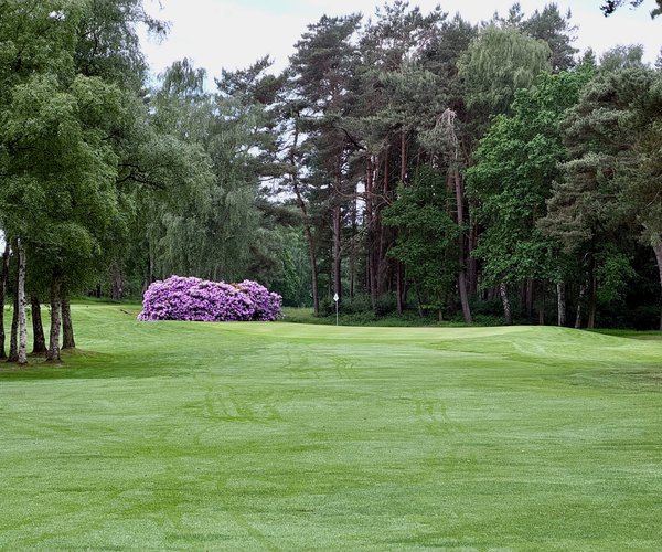 Photo of Club zur Vahr (Garlstedt course)