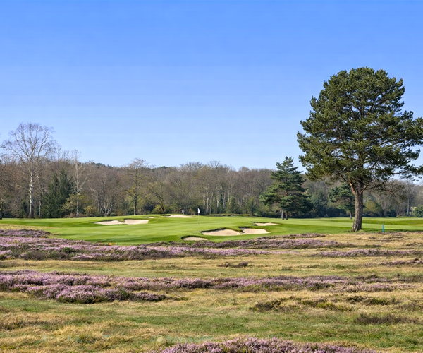 Photo of Moortown Golf Club