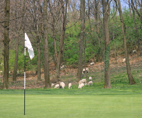 Photo of Circolo Golf Villa D'Este