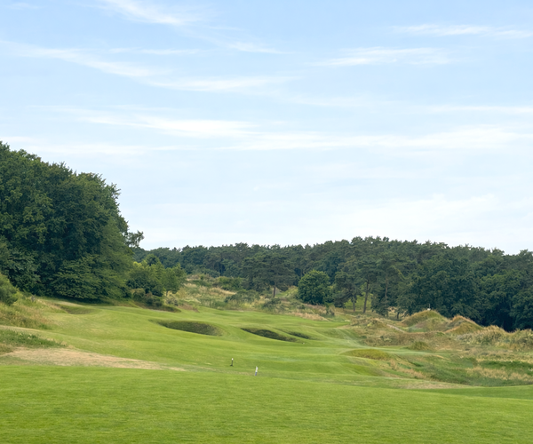 Photo of WINSTONgolf (Links course)