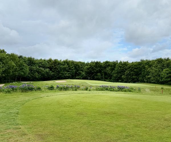 Photo of Lübker Golf Resort