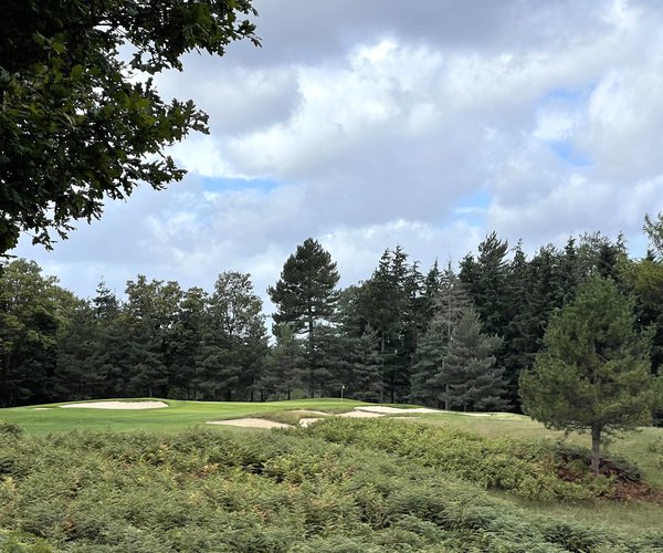 Photo of Bearwood Lakes Golf Club