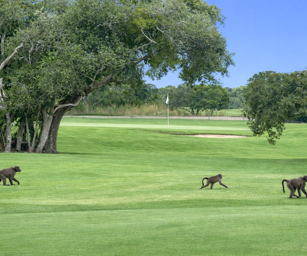 Photo of Plettenberg Bay Country Club