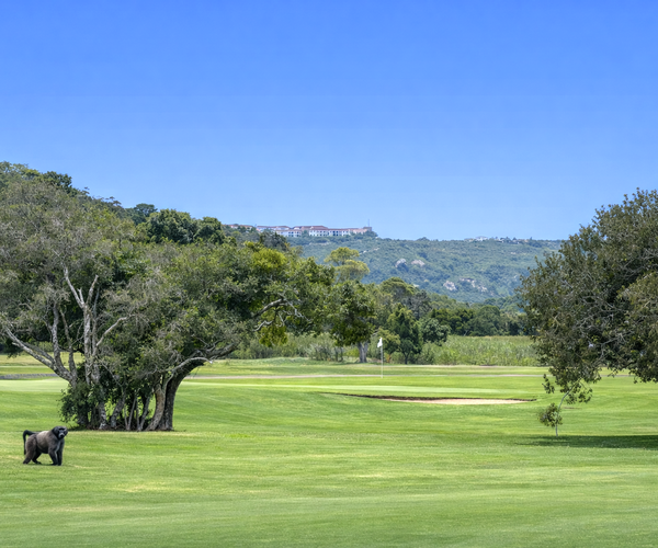 Photo of Plettenberg Bay Country Club