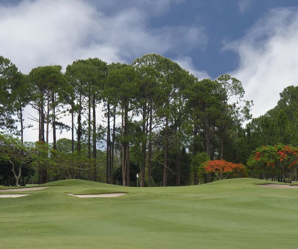 Photo of Sanctuary Cove Golf & Country Club (Pines course)