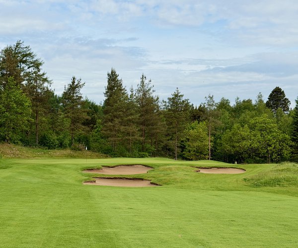 Photo of Holstebro Golfklub (Skovbanen/Forest course).