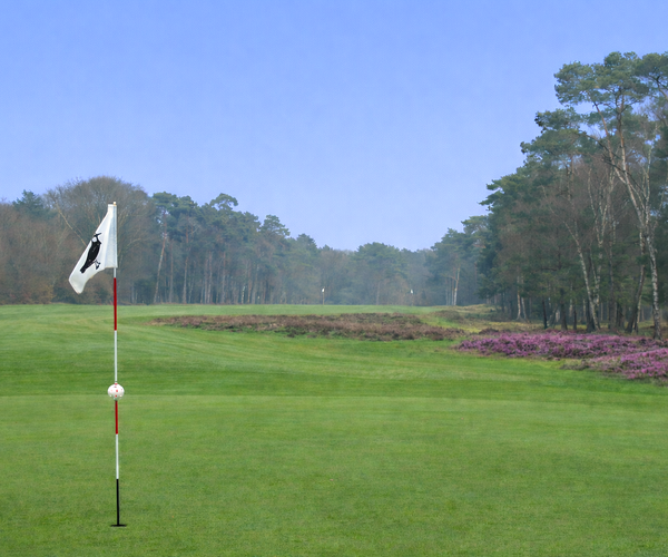Photo of Hilversumsche Golf Club