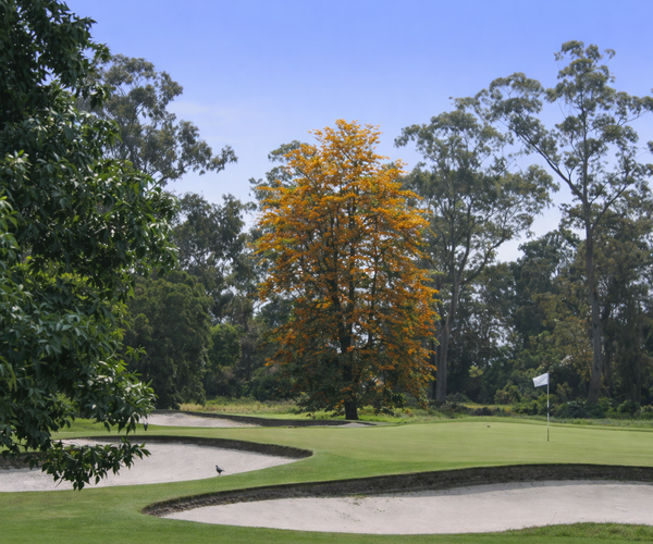 Photo of Metropolitan Golf Club