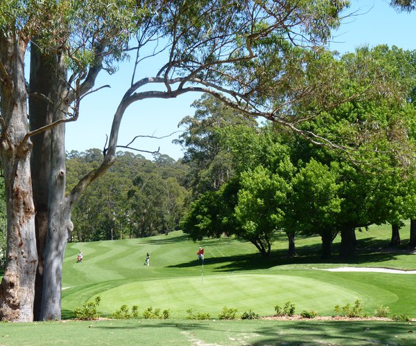 Photo of Pymble Golf Club