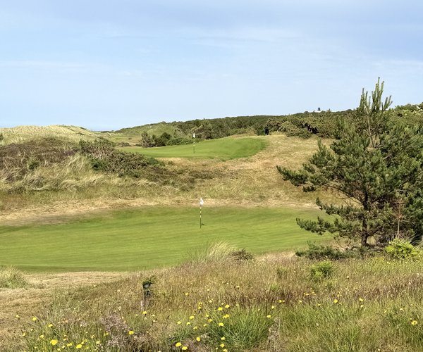 Photo of Covesea Links