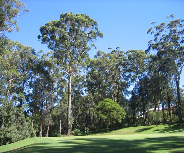 Photo of Mollymook Golf Club (Hilltop course)
