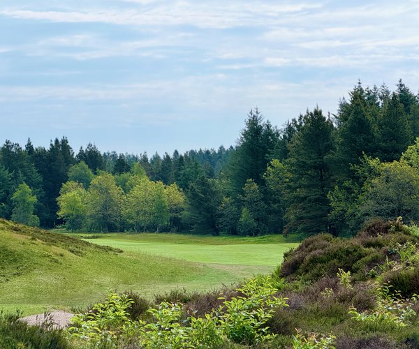 Photo of Holstebro Golfklub (Skovbanen/Forest course).