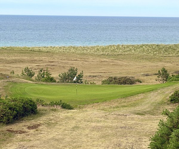 Photo of Covesea Links