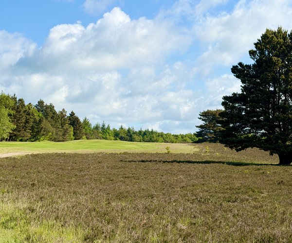 Photo of Esbjerg Golfklub (Marbaek course)