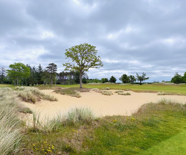 Photo of Golf Club Föhr