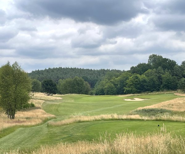 Photo of WINSTONgolf (Open course)