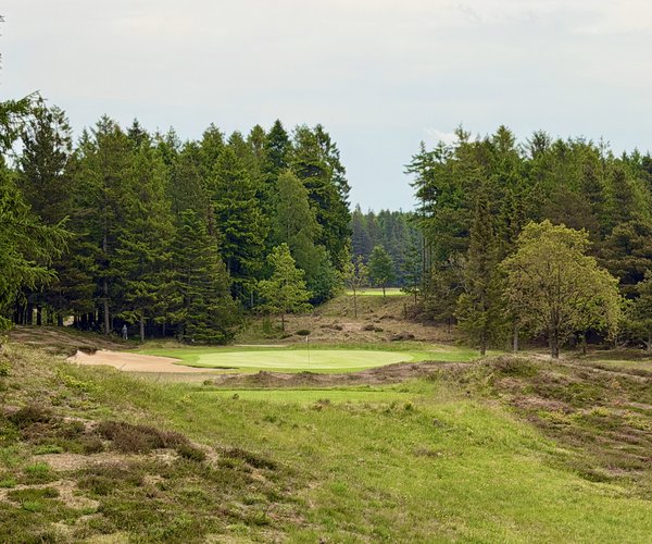 Photo of Holstebro Golfklub (Skovbanen/Forest course).