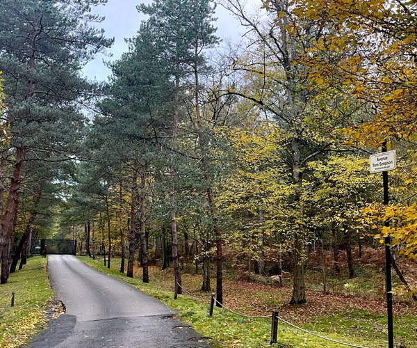 Photo of Golf de Morfontaine