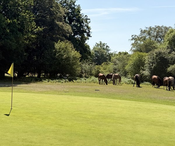 Photo of Bramshaw Golf Club