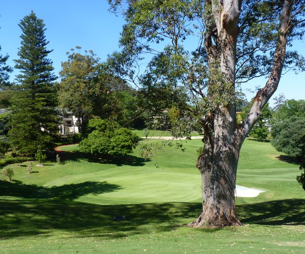 Photo of Pymble Golf Club