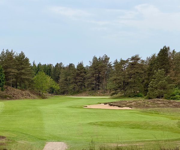 Photo of Holstebro Golfklub (Skovbanen/Forest course).