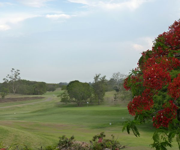 Photo of Indooroopilly Golf Club (East course)