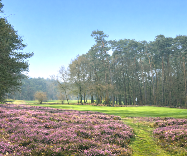 Photo of Hilversumsche Golf Club