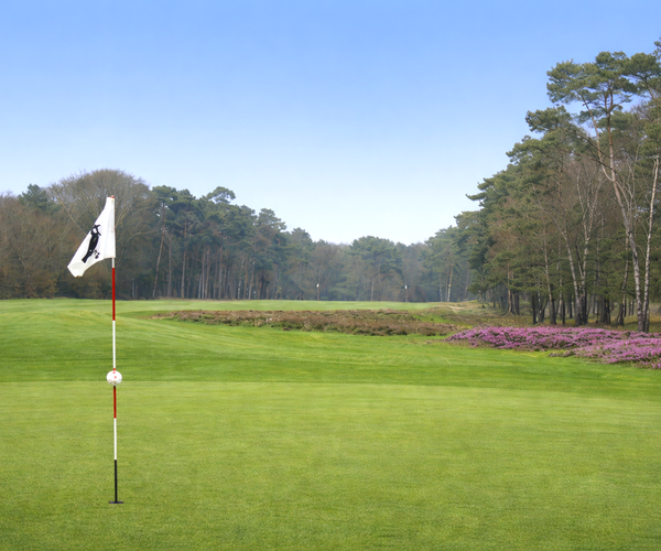 Photo of Hilversumsche Golf Club