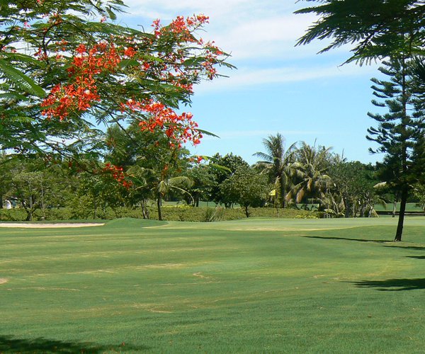 Photo of The Vintage Club