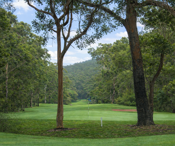 Photo of Nelson Bay Golf Club
