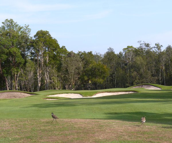 Photo of Coolangatta & Tweed Heads Golf Club (River course)