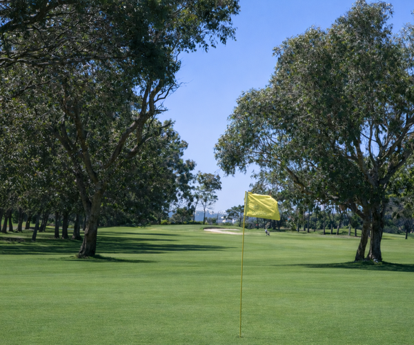 Photo of Clovelly Golf Club