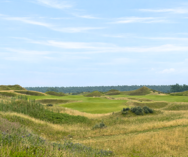 Photo of WINSTONgolf (Links course)