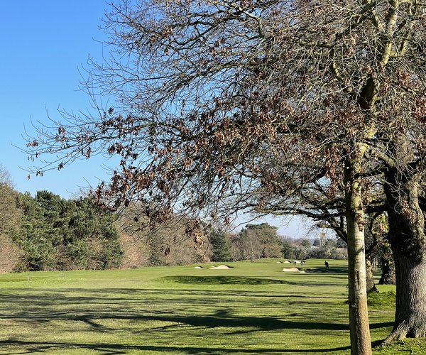 Photo of Fulwell Golf Club