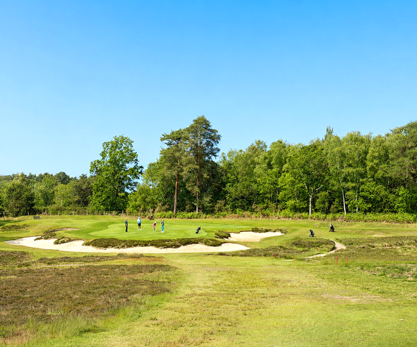 Photo of Worplesdon Golf Club