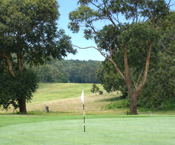 Photo of Millicent Golf Club
