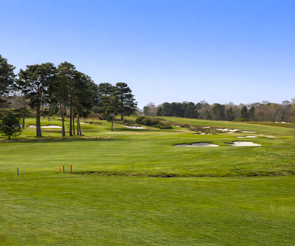 Photo of Moortown Golf Club