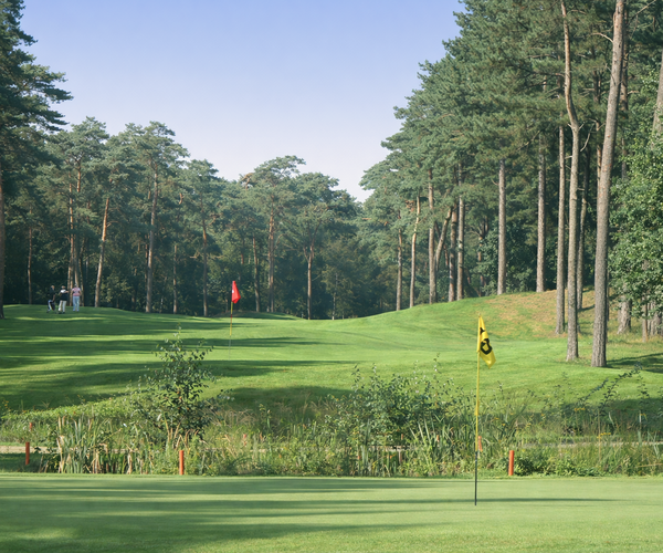 Photo of Golf Wouwse Plantage