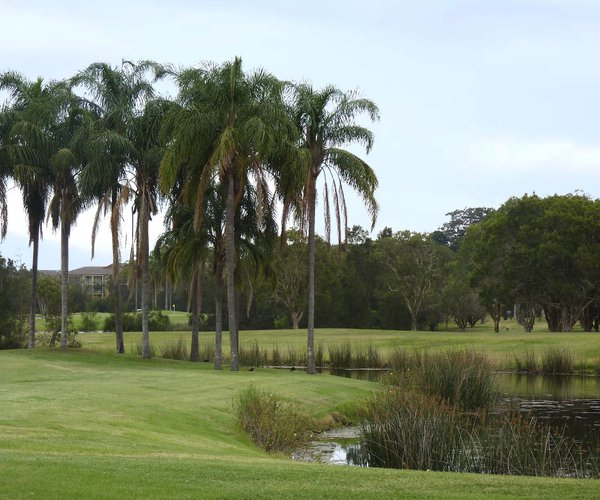 Photo of Palm Meadows Golf Course