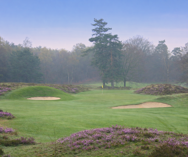 Photo of Rosendaelsche Golfclub