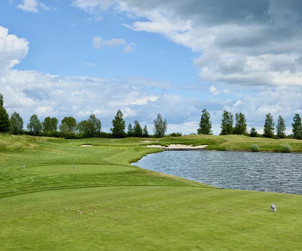 Photo of Great Northern