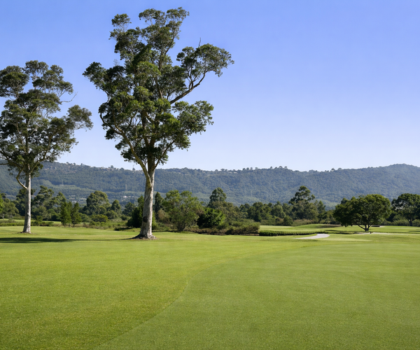Photo of Knysna Golf Club